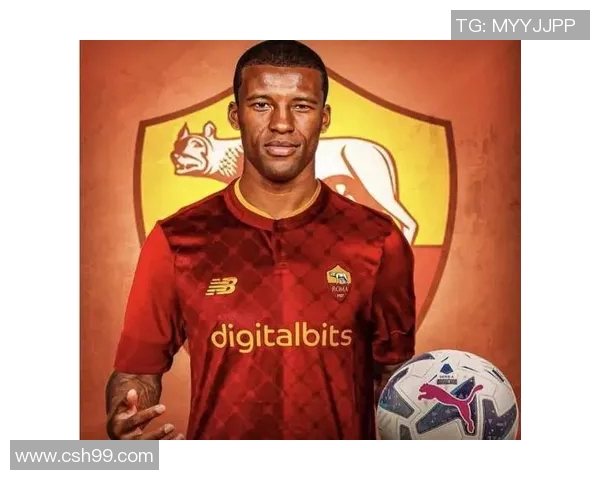 楚阿梅尼的崛起与挑战：探索新一代中场球员的未来发展之路