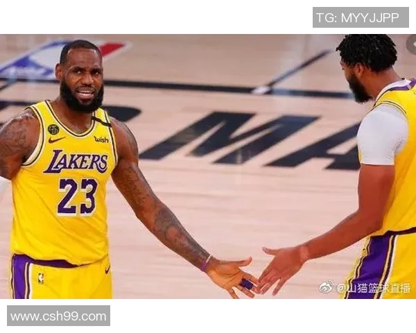 湖人对阵山猫精彩直播回顾与赛后分析全方位解读比赛亮点 湖人对阵山猫精彩直播回顾与赛后分析全方位解读比赛亮点