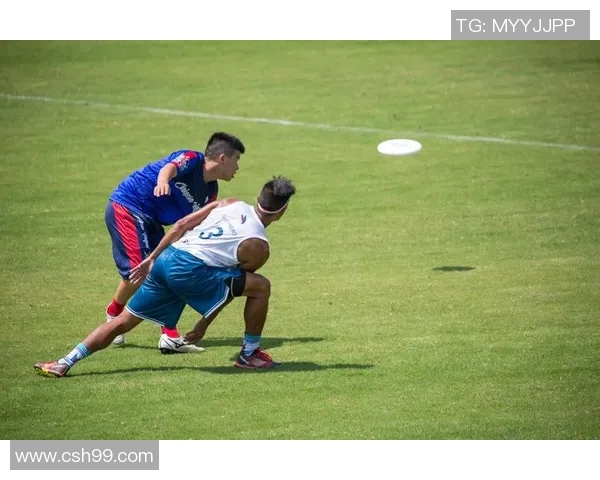 飞盘意识排行榜揭晓上海飞盘队荣登第五名展现实力与潜力