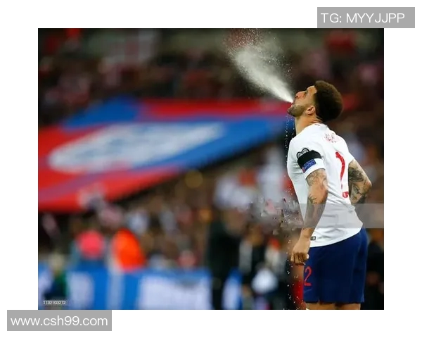 2019年欧预赛黑山对阵捷克的精彩对决回顾与分析