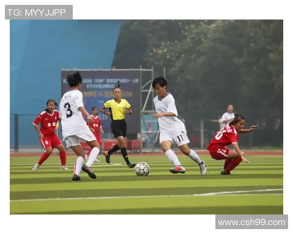 人和对阵恒大2019年精彩回顾与战术分析，揭示足球赛场的激烈对抗与精彩瞬间